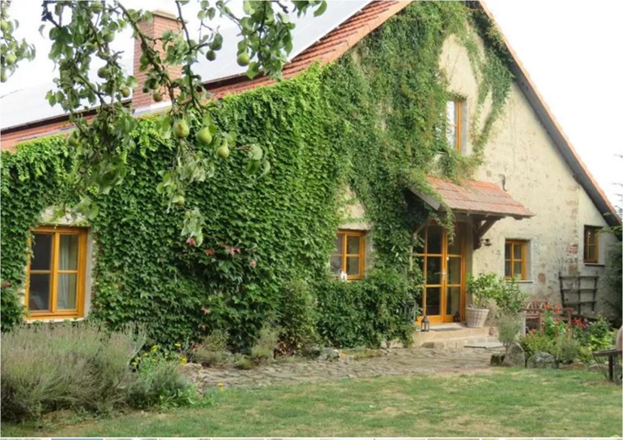 Haus Falkenhof 크눌발트 외부 사진
